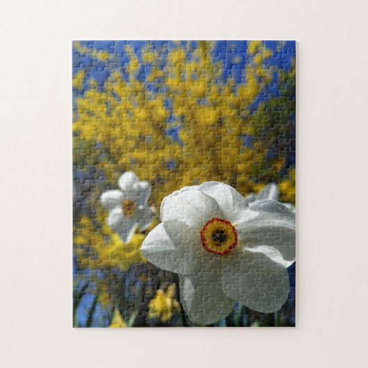 Creatieve witte narcis foto legpuzzel (Verticaal)