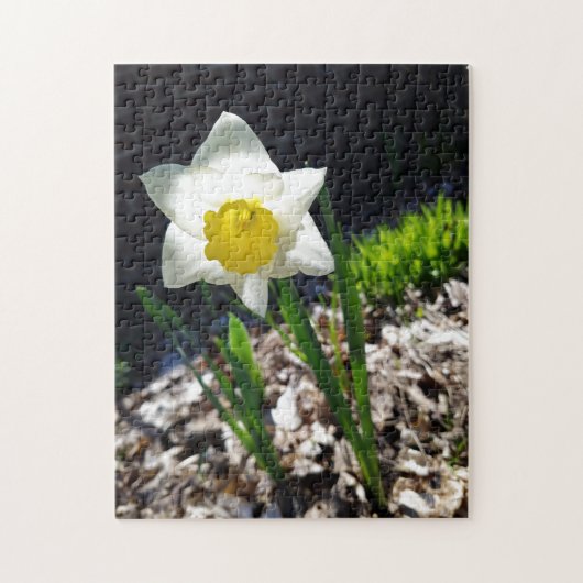 Creatieve witte narcis tuinjigsawpuzzel legpuzzel (Verticaal)