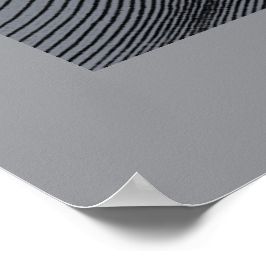 Creation of Motion Poster (Hoek)