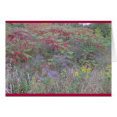 Creations Bounty (Voorkant Horizontaal)