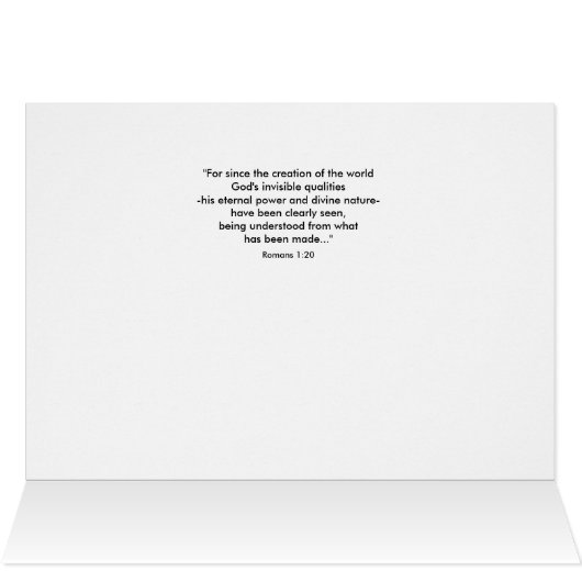 Creations Bounty (Binnen Horizontaal (Boven))