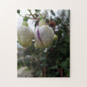 Creative bud fuchsia flower photopuzzel legpuzzel (Verticaal)