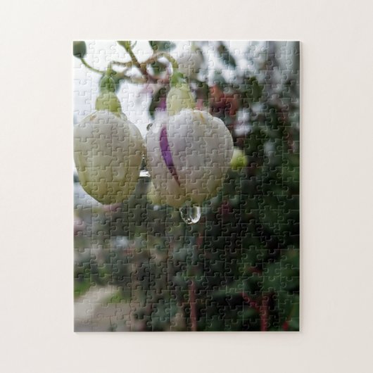 Creative bud fuchsia flower photopuzzel legpuzzel (Verticaal)