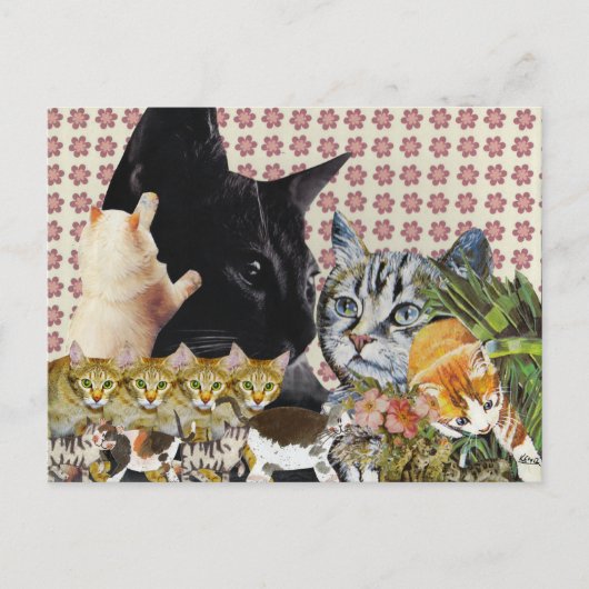 Creative Cats-Briefkaart Briefkaart (Voorkant)
