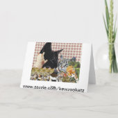 Creative Cats-Wenskaart Kaart (Achterkant)