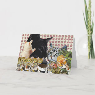 Creative Cats-Wenskaart Kaart