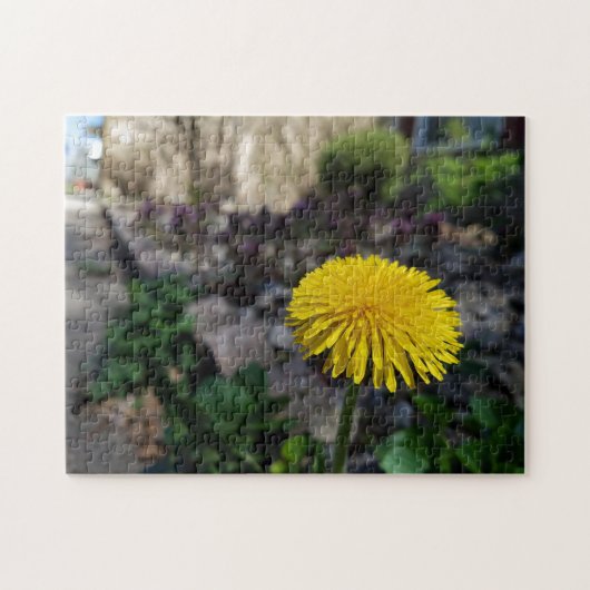 Creative dandelion flower photopuzzel legpuzzel (Horizontaal)