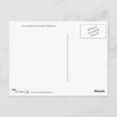 Creative Eye Sketch met gekleurde pennen Briefkaart (Achterkant)