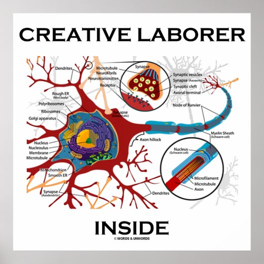 Creative Laborer Inside (Neuron / Synapse) Poster (Voorkant)
