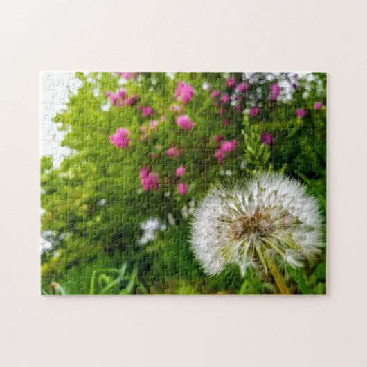 Creative lawn dandelion foto jigzaag puzzel (Horizontaal)