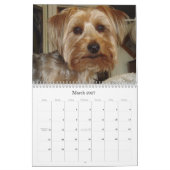 Creative Westie/Yorkie 12-maandelijkse kalender (Mar 2027)