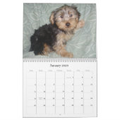 Creative Westie/Yorkie 12-maandelijkse kalender (Jan 2026)