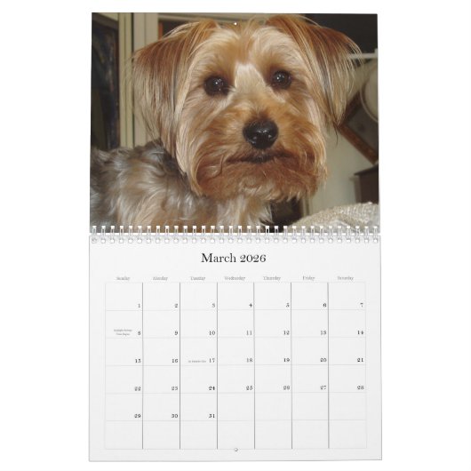Creative Westie/Yorkie 12-maandelijkse kalender (Mar 2026)