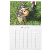 Creative Westie/Yorkie 12-maandelijkse kalender (Feb 2026)