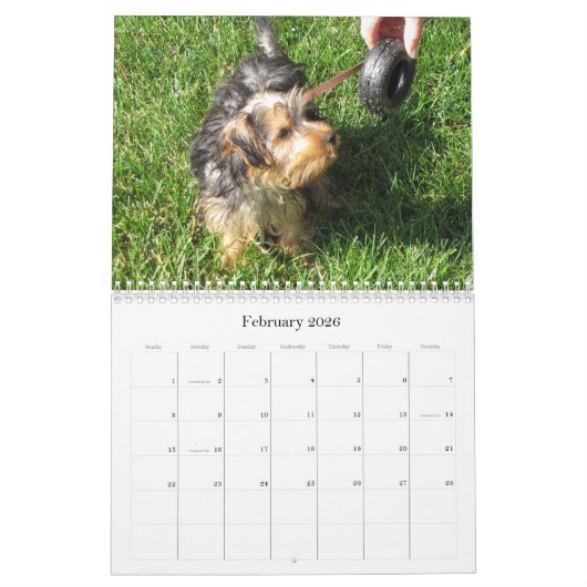 Creative Westie/Yorkie 12-maandelijkse kalender (Feb 2026)