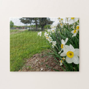 Creative white daffodil foto jigzaag puzzel