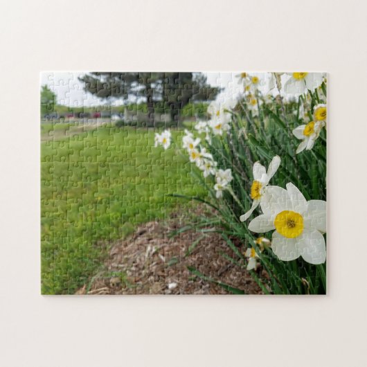 Creative white daffodil foto jigzaag puzzel (Horizontaal)