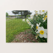 Creative white daffodil foto jigzaag puzzel legpuzzel (Horizontaal)