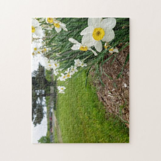 Creative white daffodil foto jigzaag puzzel legpuzzel (Verticaal)
