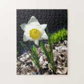 Creative white daffodil garden puzzel (Verticaal)