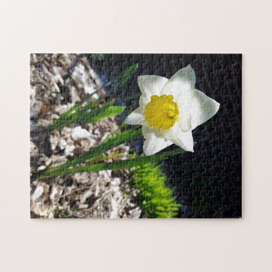 Creative white daffodil garden puzzel legpuzzel (Horizontaal)