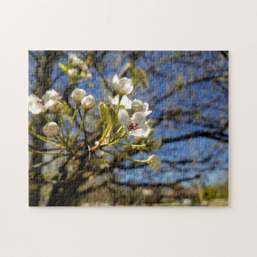 Creative white tree flower foto jigzaag puzzel (Horizontaal)