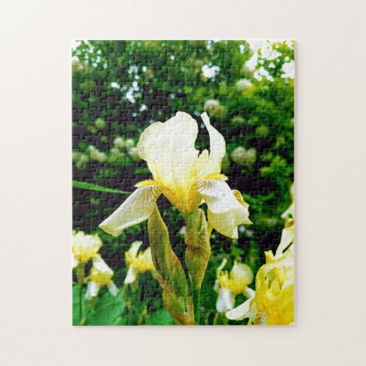 Creative wild flower walk photopuzzel puzzel (Verticaal)