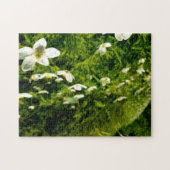 Creative wild flower walk photopuzzel puzzel (Horizontaal)