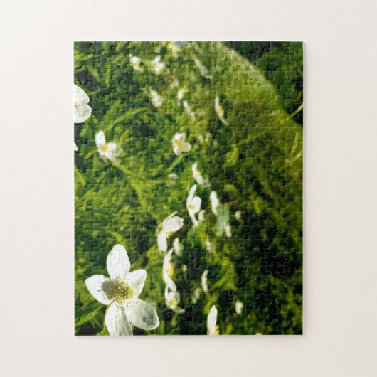 Creative wild flower walk photopuzzel puzzel (Verticaal)