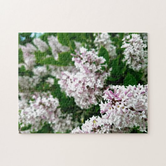 Creative wild flower walk photopuzzel puzzel (Horizontaal)