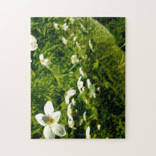 Creative wild flower walk photopuzzel puzzel legpuzzel