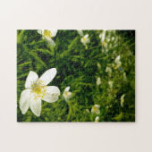 Creative wild flower walk photopuzzel puzzel legpuzzel (Horizontaal)