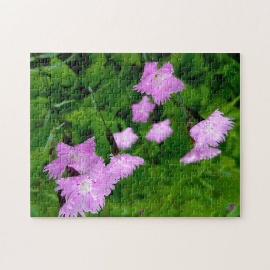 Creative wild flower walk photopuzzel puzzel legpuzzel (Horizontaal)