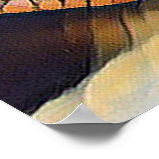 Creative Wildlife Zee Turtle Florida Revel Poster (Hoek)