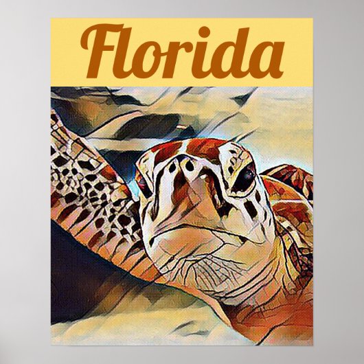 Creative Wildlife Zee Turtle Florida Revel Poster (Voorkant)