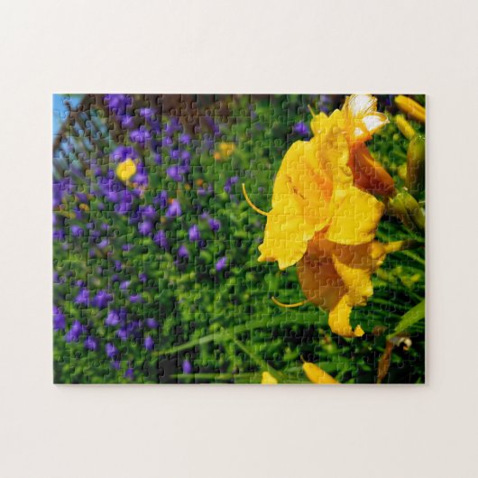 Creative yellow flower tuin tuinfoto puzzel legpuzzel (Horizontaal)