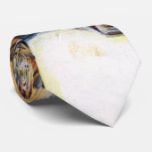 Creativiteit Glimmer Alle Helderder Stropdas (Opgerold)