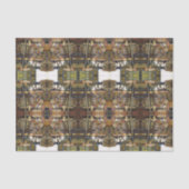 Creativiteit Glimmer Alle Helderder Tissuepapier (Voorkant)