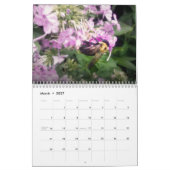 Creatures 2014 kalender (Mar 2027)