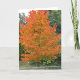 Creditcard wijzigen kaart