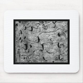 Credo Abstract Muismat
