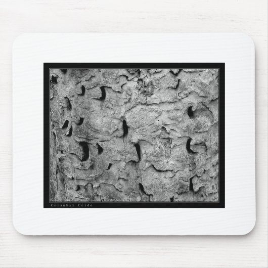 Credo Abstract Muismat (Voorkant)