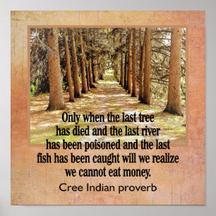 Cree Indian Proverb — kunstdruk — 12 x 12 Poster