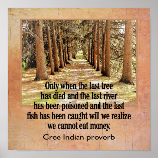 Cree Indian Proverb — kunstdruk — 12 x 12 Poster