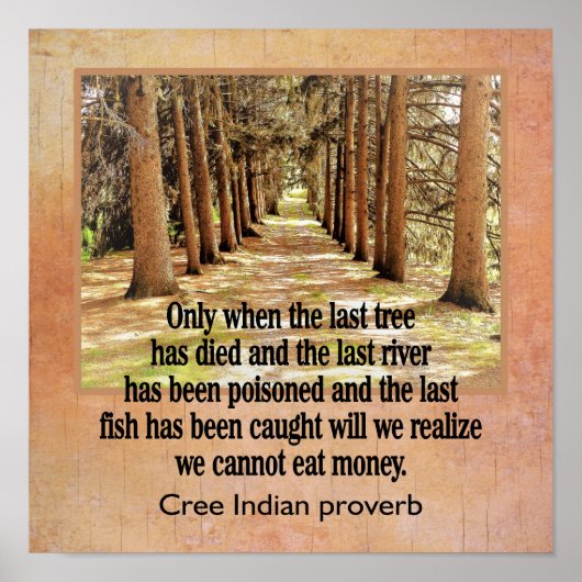 Cree Indian Proverb — kunstdruk — 12 x 12 Poster (Voorkant)