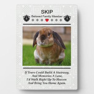 Creëer A Pet Memorial Foto Plaque Fotoplaat