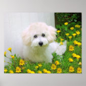 Creëer A Poster afdrukken (Voorkant)