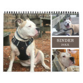 Creëer Dog Memories op maat Kalender (Hoes)