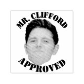 Creëer een aangepast grappig gezichtsveld goedkeur zelfinktende stempel (Design)