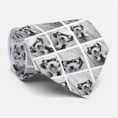 Creëer een Aangepaste fotocollage met 18 foto's Stropdas (Opgerold)